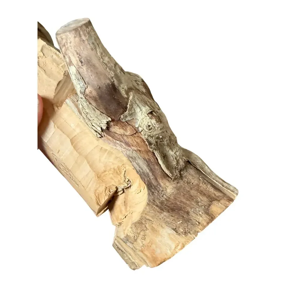 Unbranded coffee root